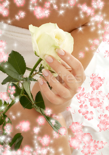 Capullo de rosa flores mujer hermosa mano prestados mujer Foto stock © dolgachov