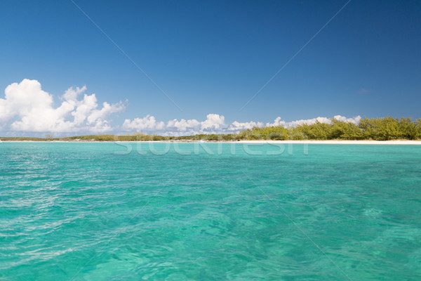 blue sea or ocean, beach and forest Stock photo © dolgachov