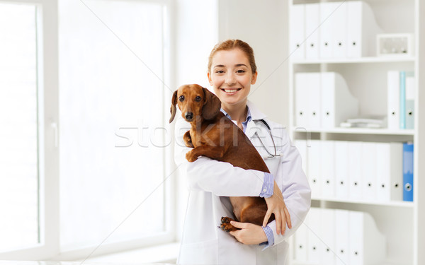 Сток-фото: счастливым · врач · собака · ветеринар · клинике · медицина