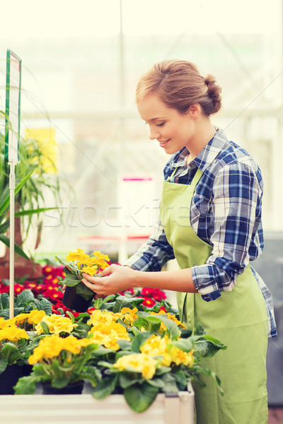 Gelukkig vrouw bloemen broeikas mensen Stockfoto © dolgachov