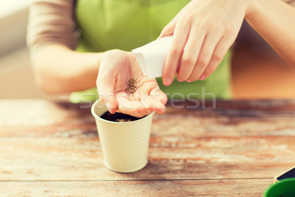Mulher semeadura sementes solo pote Foto stock © dolgachov