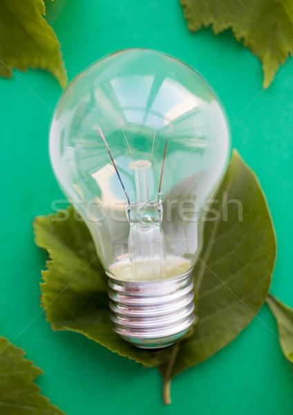 close up of bulb or incandescent lamp on green Stock photo © dolgachov