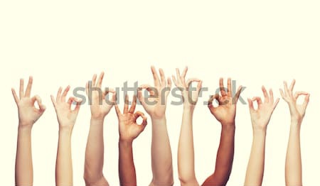 Emberi kezek mutat ok felirat kézmozdulat Stock fotó © dolgachov