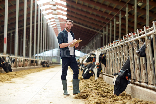 Foto stock: Jeans · clipboard · vacas · fazenda · agricultura · indústria