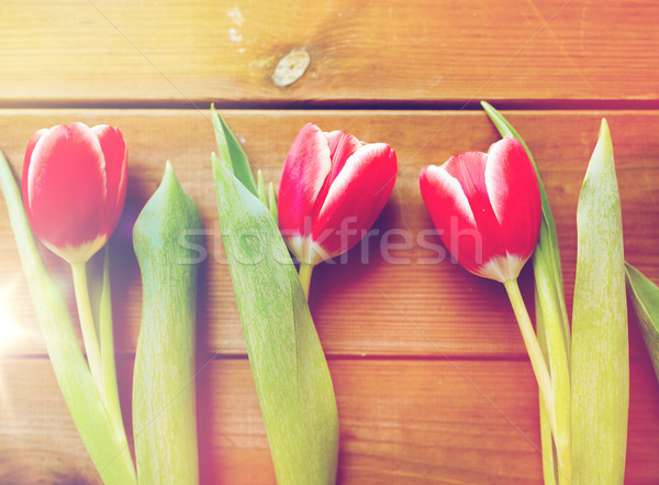 close up of red tulip flowers on wooden table Stock photo © dolgachov