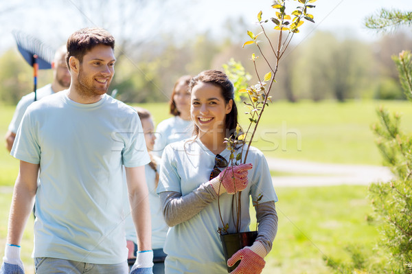 group of volunteers with trees and rake in park Stock photo © dolgachov