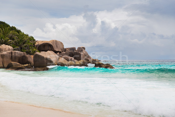 island beach in indian ocean on seychelles Stock photo © dolgachov