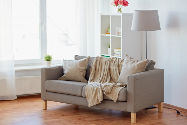 Sofá almofadas confortável casa sala de estar conforto Foto stock © dolgachov