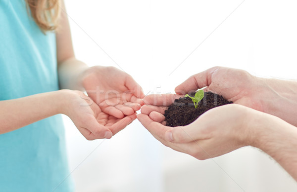 close up of father and girl hands holding sprout Stock photo © dolgachov