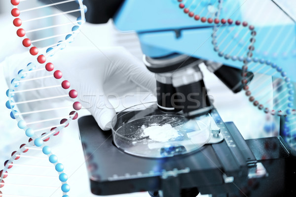 close up of hand with microscope and powder sample Stock photo © dolgachov