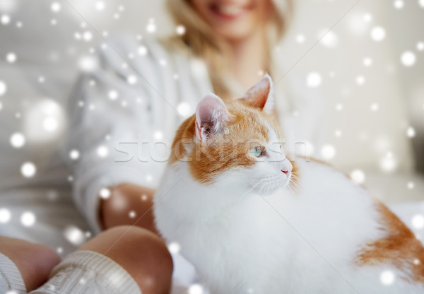 Stockfoto: Gelukkig · jonge · vrouw · kat · bed · home · huisdieren