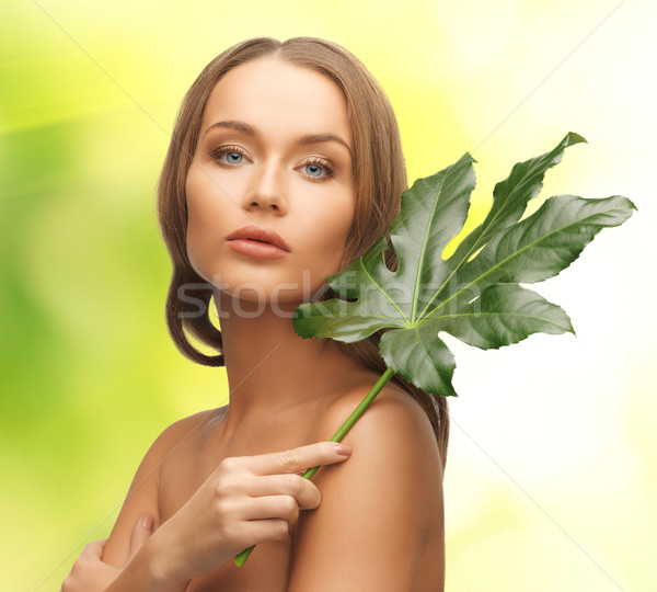 woman with green leaf Stock photo © dolgachov