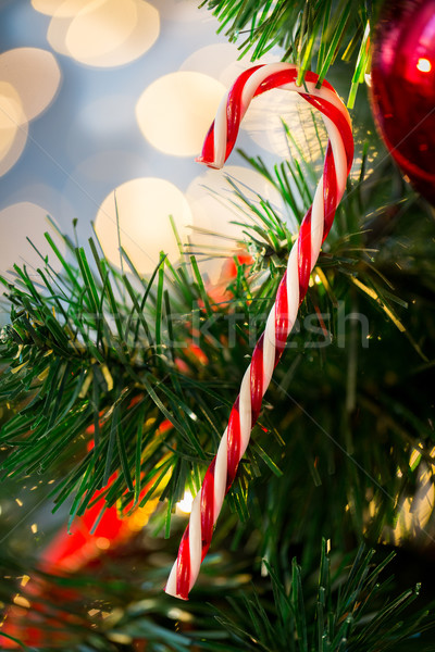 close up of sugar cane candy on christmas tree Stock photo © dolgachov