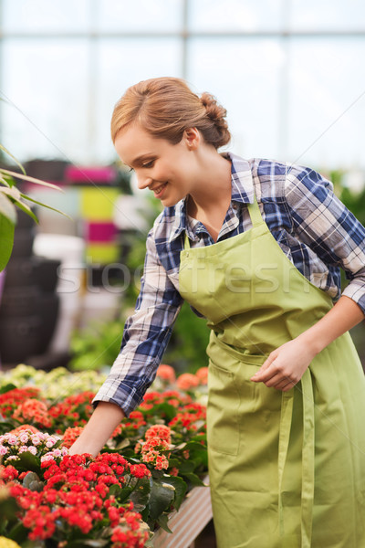 happy woman taking care of flowers in greenhouse Stock photo © dolgachov