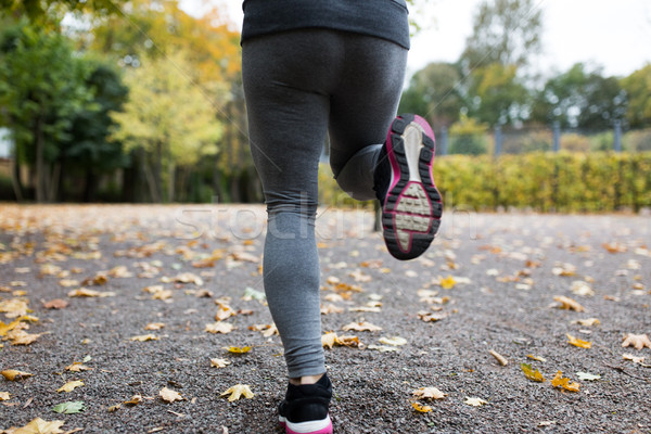 [[stock_photo]]: Jeune · femme · courir · automne · parc · fitness