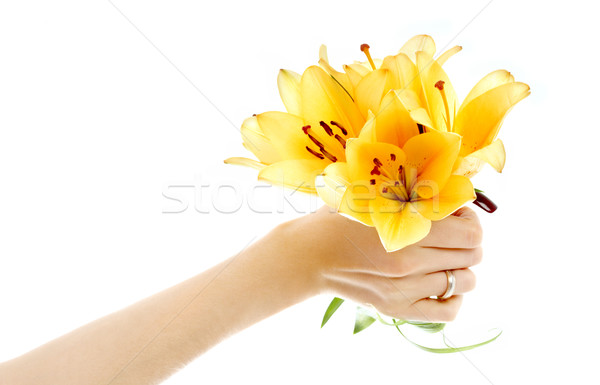 female hand holding yellow madonna lily bouquet Stock photo © dolgachov