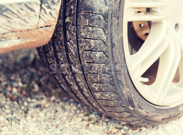 close up of dirty car wheel on ground Stock photo © dolgachov