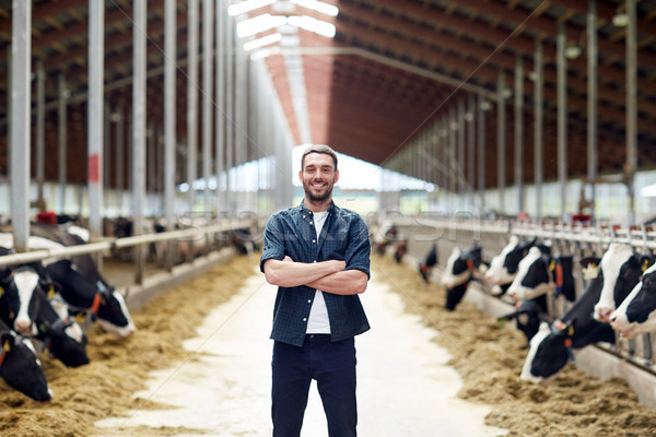 Stock photo: man or farmer with cows in cowshed on dairy farm