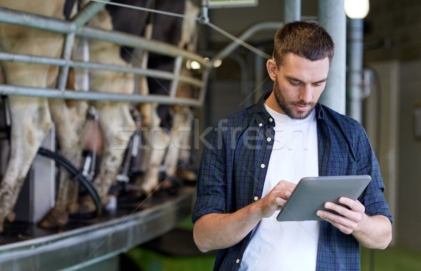 young man with tablet pc and cows on dairy farm Stock photo © dolgachov