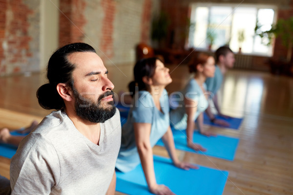 Gruppe Menschen Yoga cobra darstellen Studio Fitness Stock foto © dolgachov