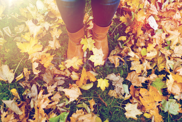 Weiblichen Fuß Stiefel Herbstlaub Jahreszeit Menschen Stock foto © dolgachov