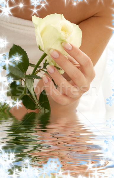 Rosebud bela mulher mão água mulher flor Foto stock © dolgachov