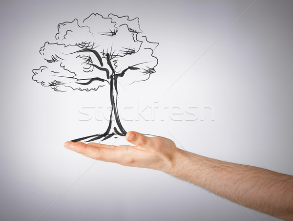 man with small tree in his hand Stock photo © dolgachov