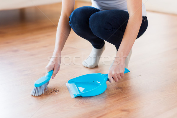 close up of woman with brush and dustpan sweeping Stock photo © dolgachov