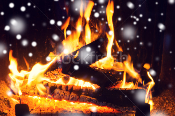 close up of firewood burning in fireplace and snow Stock photo © dolgachov