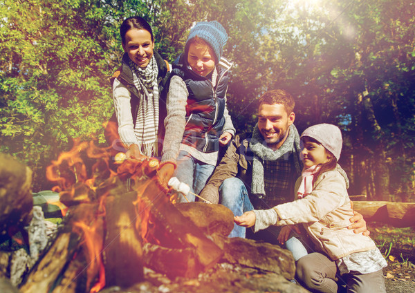 Foto stock: Família · feliz · marshmallow · fogueira · camping · marcha · pessoas