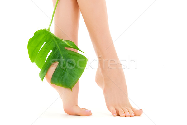 female feet with green leaf Stock photo © dolgachov