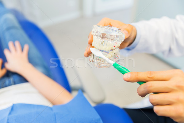 close up of dentist showing teeth maquette to girl Stock photo © dolgachov