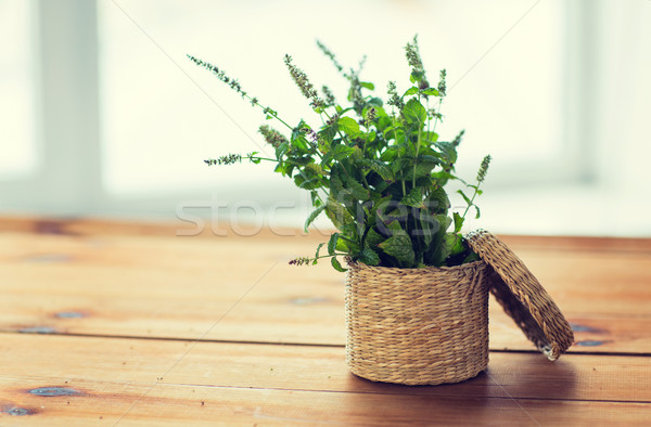 close up of melissa in basket on wooden table Stock photo © dolgachov