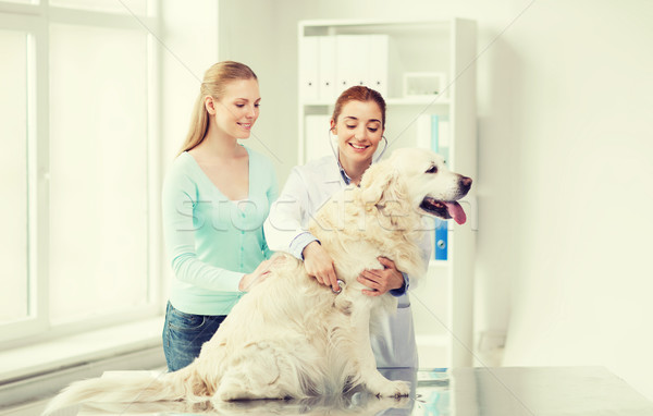 happy woman with dog and doctor at vet clinic Stock photo © dolgachov