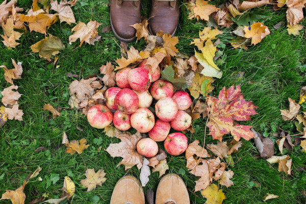Pies botas manzanas hojas de otoño temporada Foto stock © dolgachov