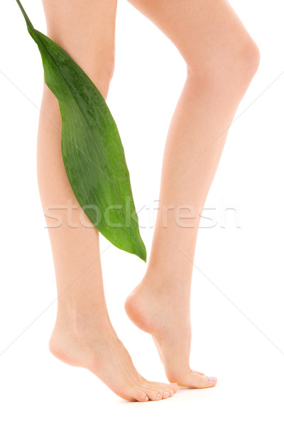 female legs with green leaf Stock photo © dolgachov