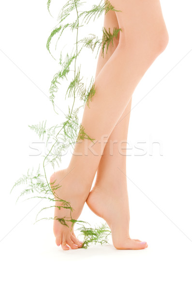 female legs with green plant Stock photo © dolgachov