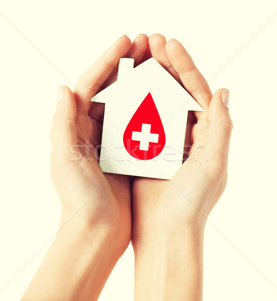 hands holding house with donor sign Stock photo © dolgachov