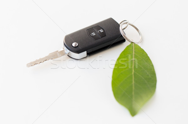 ключи от машины зеленый лист сохранение среде транспорт Сток-фото © dolgachov