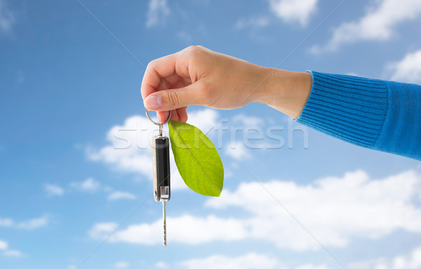 close up of hand holding car key with green leaf Stock photo © dolgachov