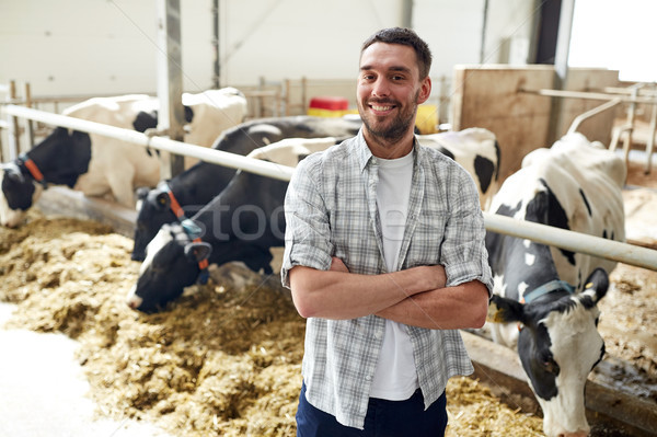 Man landbouwer koeien zuivelfabriek boerderij landbouw Stockfoto © dolgachov