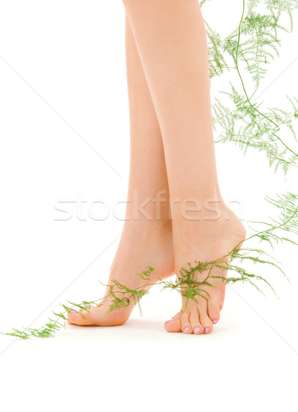 female legs with green plant Stock photo © dolgachov