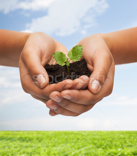 [[stock_photo]]: Femme · mains · usine · sol · fécondité