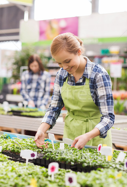 Szczęśliwy kobieta opieki sadzonka szklarnia Zdjęcia stock © dolgachov