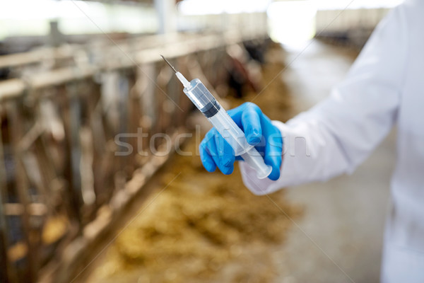 Veterinario mano vaccino siringa farm agricoltura Foto d'archivio © dolgachov