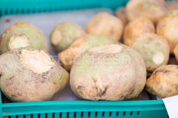 close up of swede or turnip at street market Stock photo © dolgachov