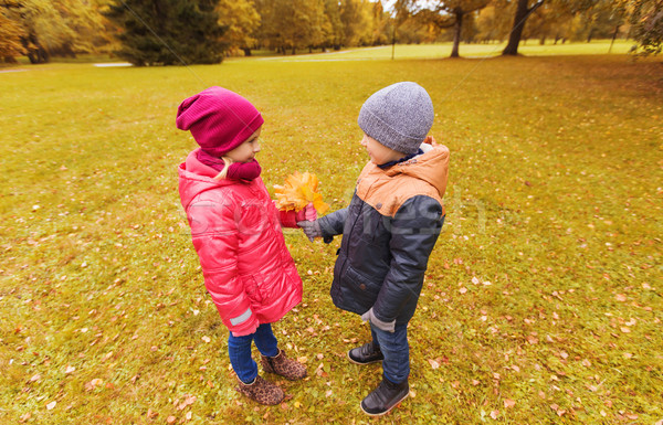 Peu garçon automne érable laisse fille [[stock_photo]] © dolgachov