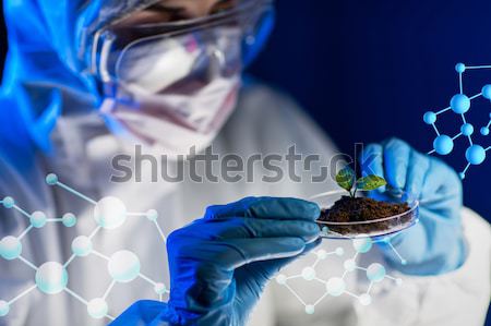 close up of scientist making test in laboratory Stock photo © dolgachov