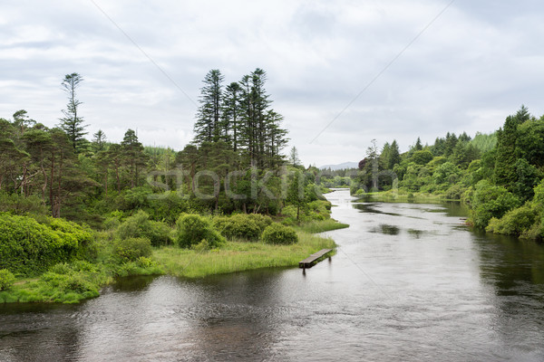 Widoku rzeki Irlandia dolinie charakter krajobraz Zdjęcia stock © dolgachov
