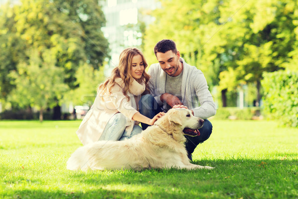 Stockfoto: Gelukkig · paar · labrador · hond · lopen · stad